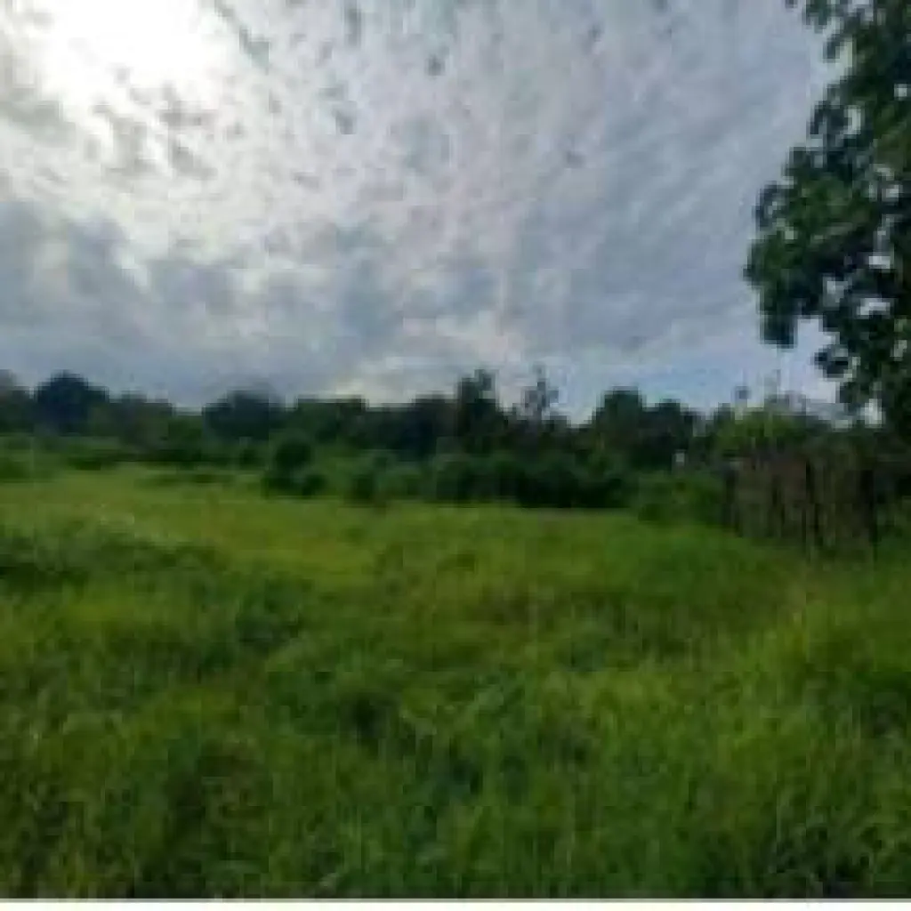 Se vende amplio terreno en Tocumen