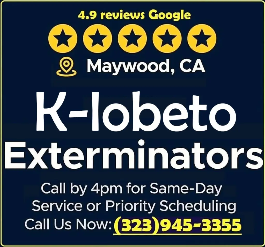 FUMIGACIONES MAYWOOD Y AREAS CERCANAS A LOS ANGELES CALIFORNIA.-