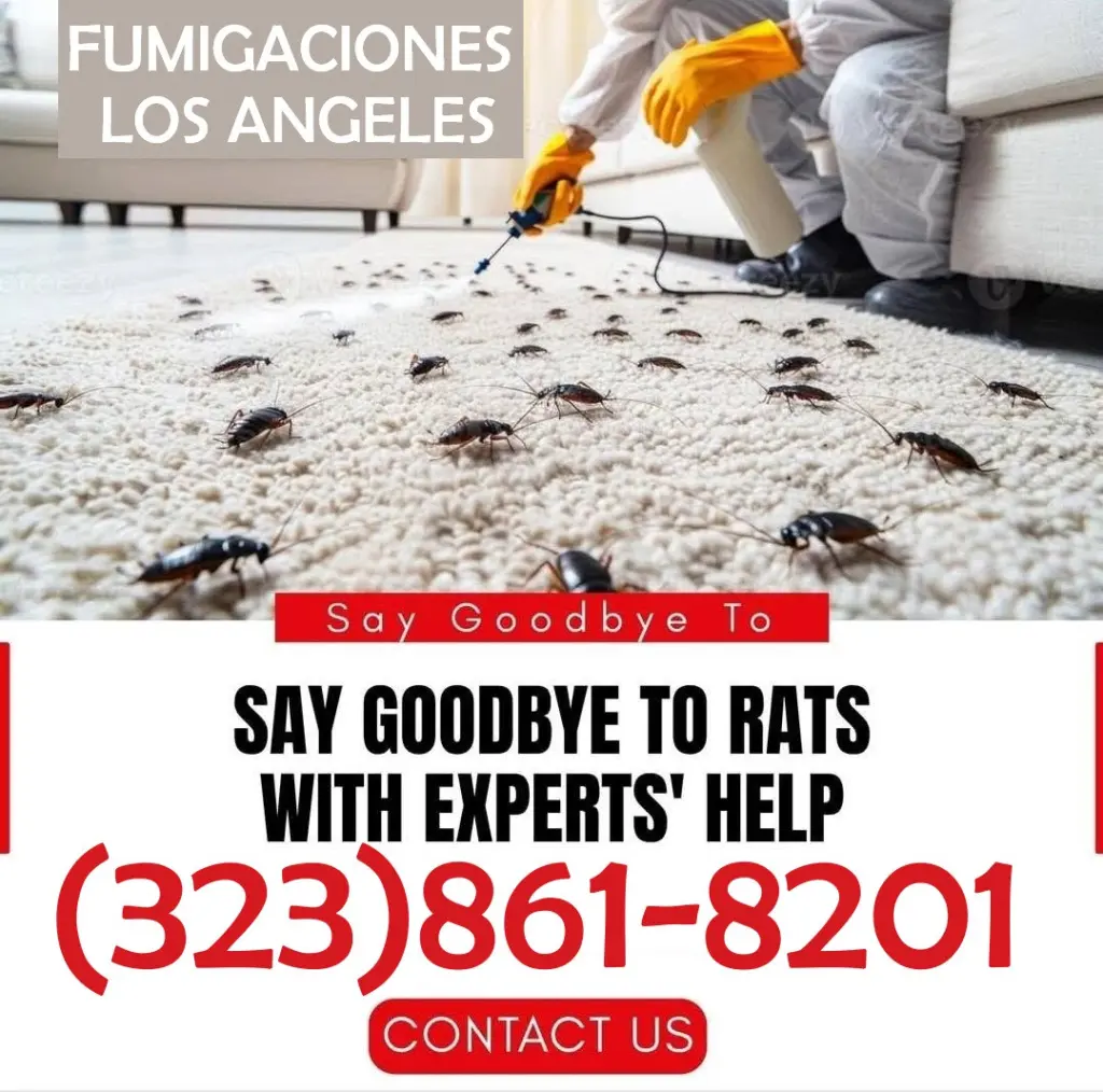 FUMIGACIONES PERSONALES Y ECONOMICOS.-