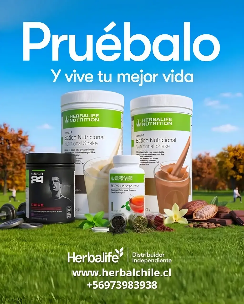 Herbalife Distribuidores