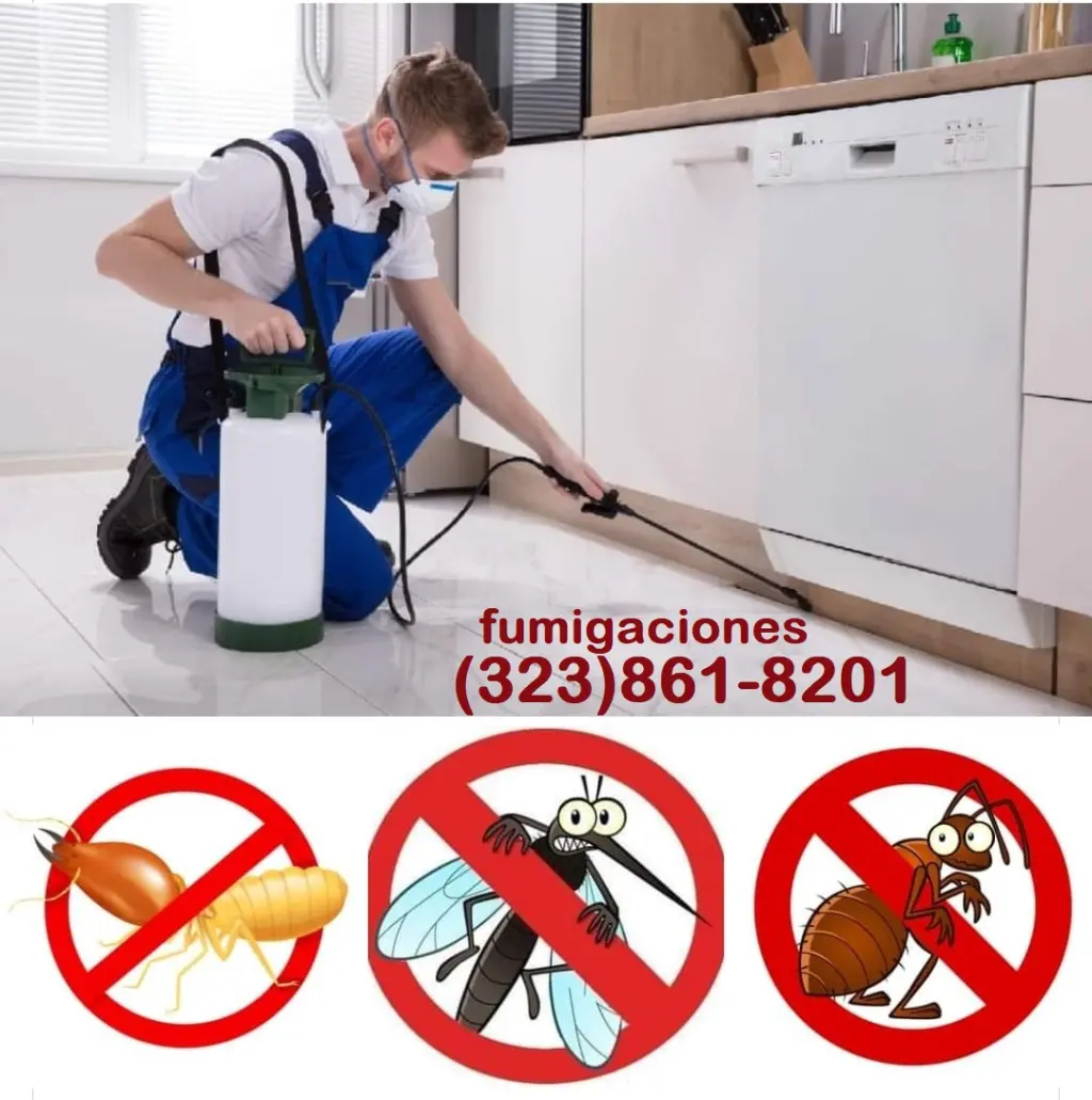 FUMIGACIONES LOS ANGELES Y ORANGE COUNTY