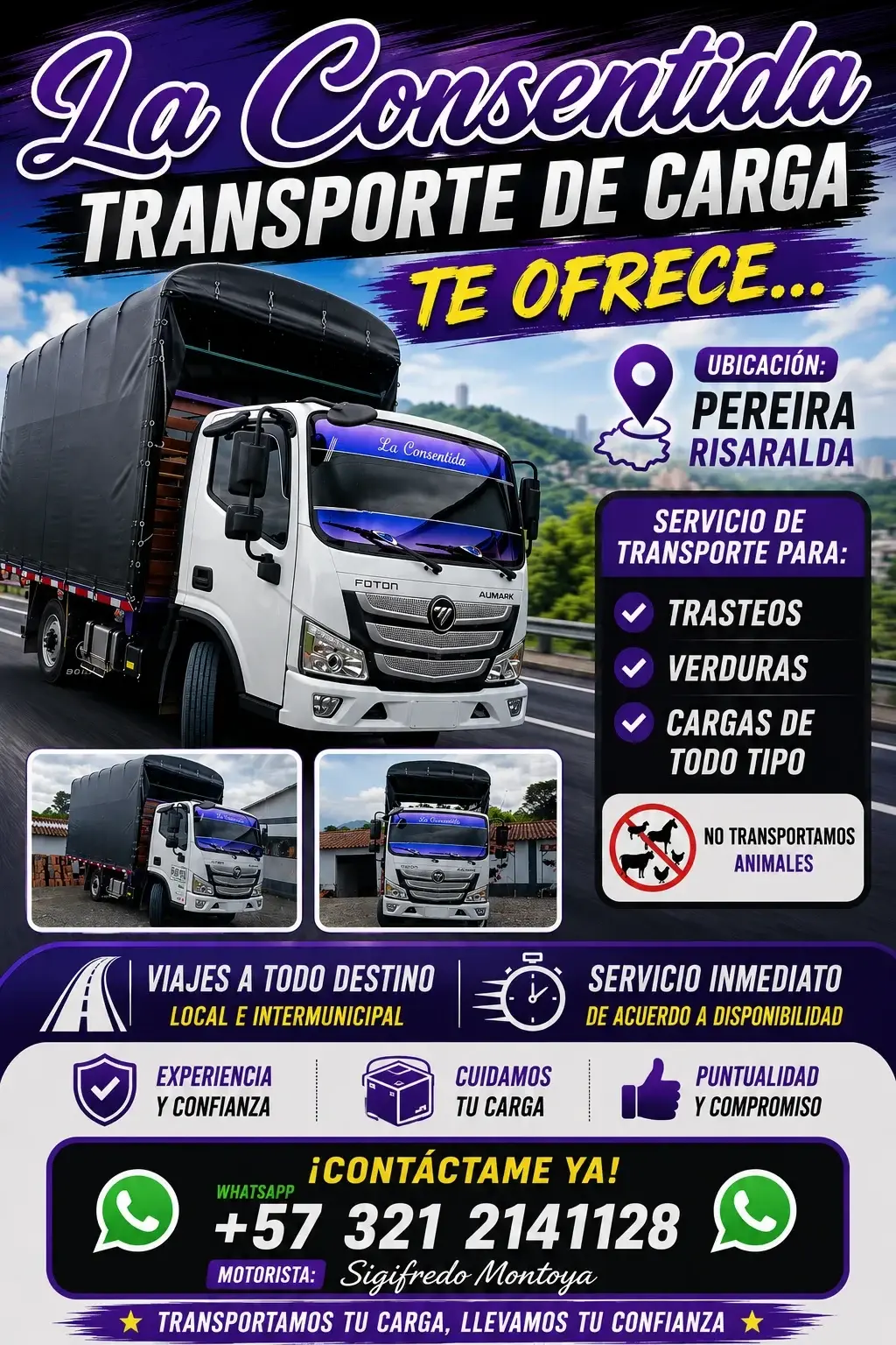 TRANSPORTE DE CARGA,