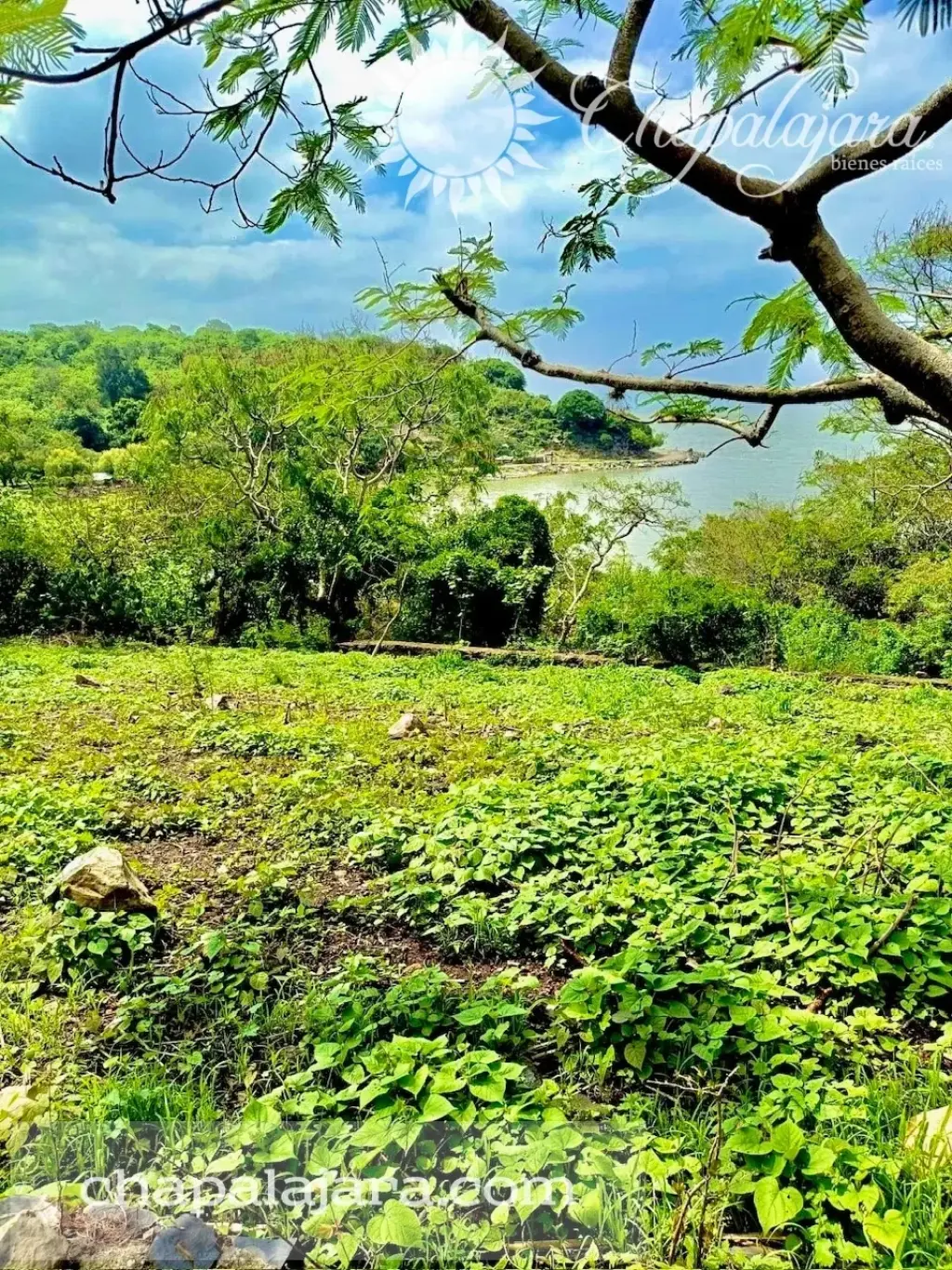 Tlachichilco, Lakefront