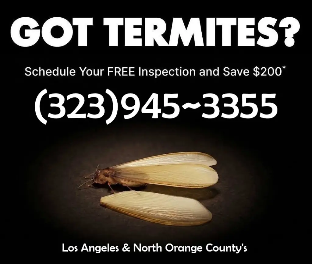 TERMITE HOME INSPECTOR EN SU AREA.-