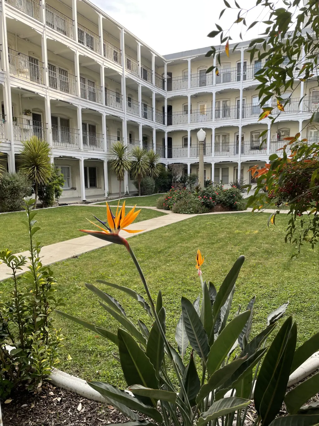 USC area.  Apartamento amplio, bonito y cómodo.