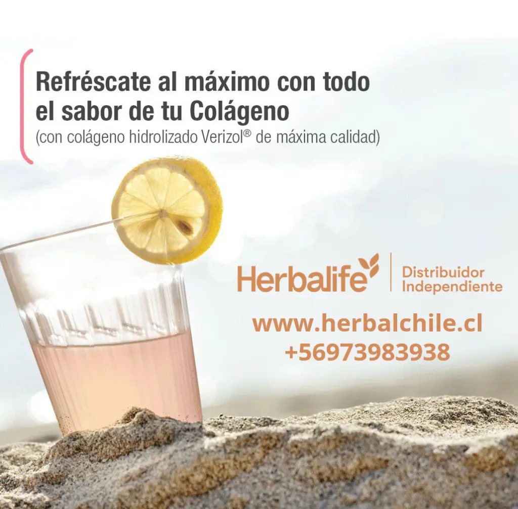 Los resultados sostenibles nacen de una nutrición constante