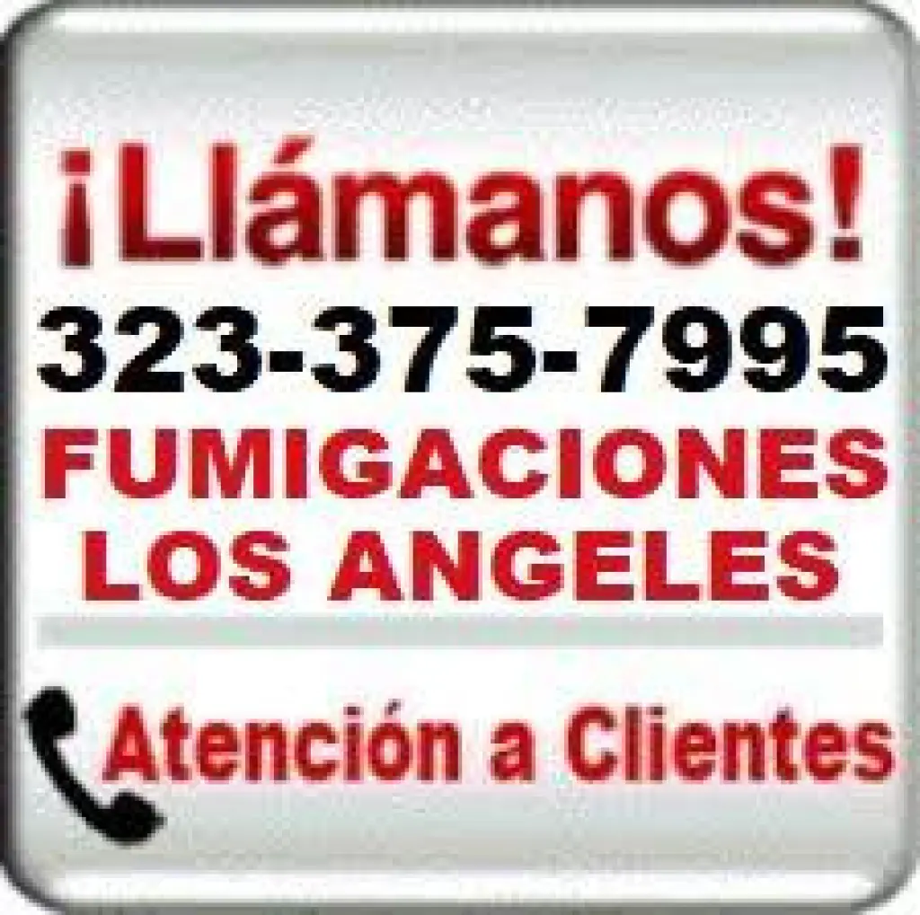 FUMIGACIONES PERSONALES TERMITAS PRECIOS MUY ECONOMICOS