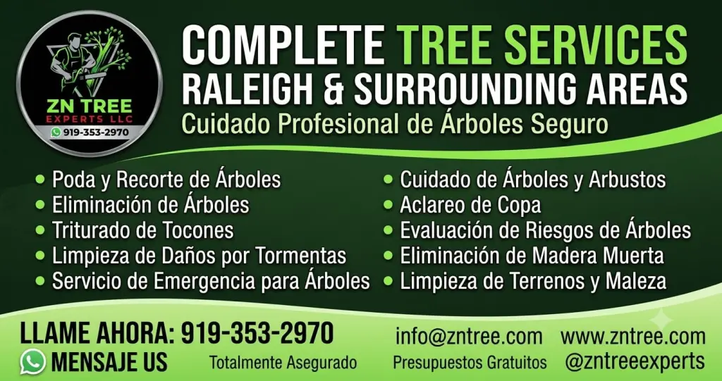 Servicios Completos de Árboles en Raleigh y Áreas Circundantes