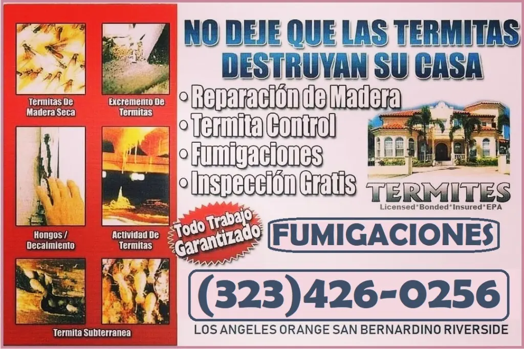 TIENES TERMITAS TE AYUDAMOS ???