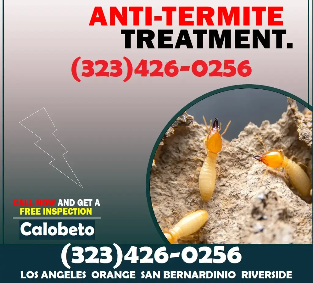 EXTERMINADORES TERMITAS O POLILLAS