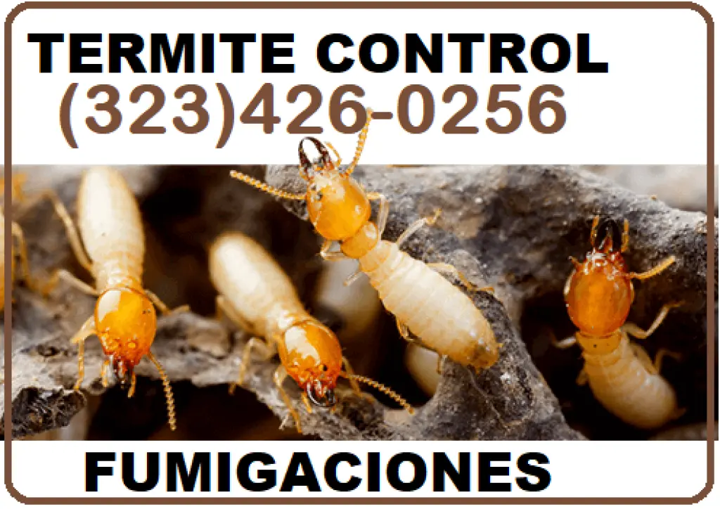 FUMIGACIONES - ESTERMINADORES - TERMITAS