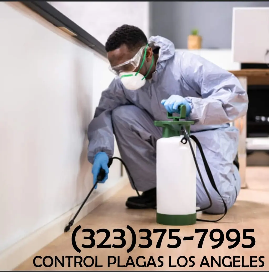 FUMIGACIONES LOS ANGELES 24~7.-