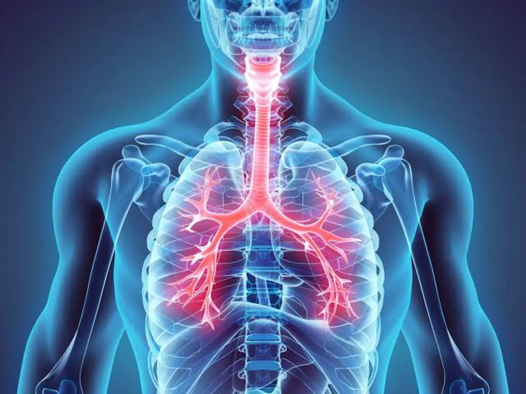 REHABILITACION RESPIRATORIA-CARDIORESPIRATORIA