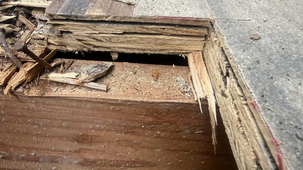 Servicios de Reparación de Daños en Madera