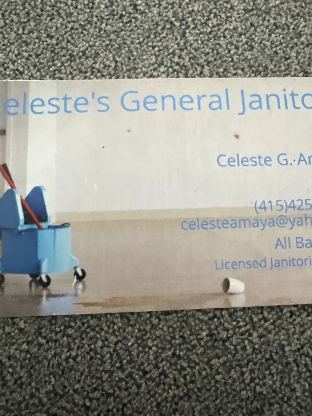 Celeste’s General Janitors
