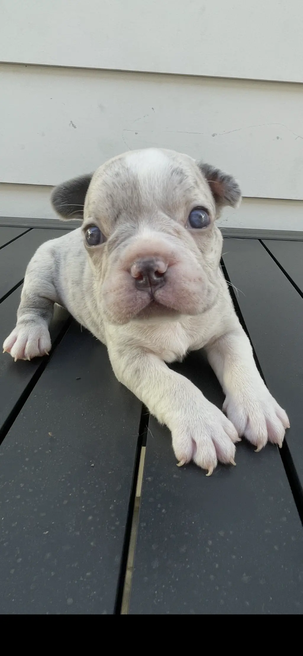 Se vende
