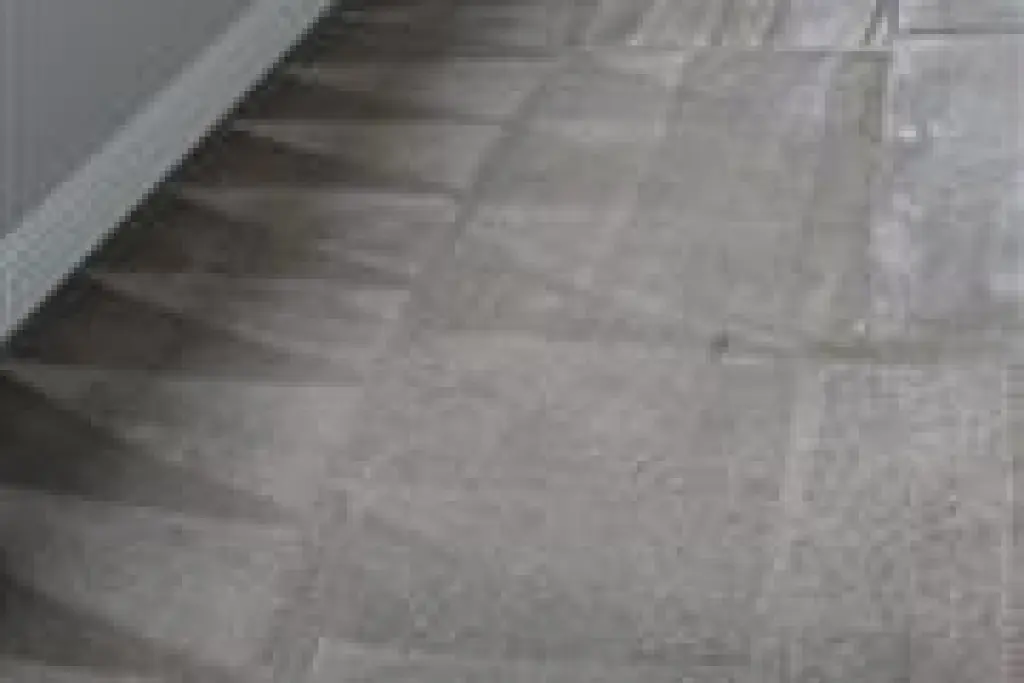 Limpieza De Alfombras
