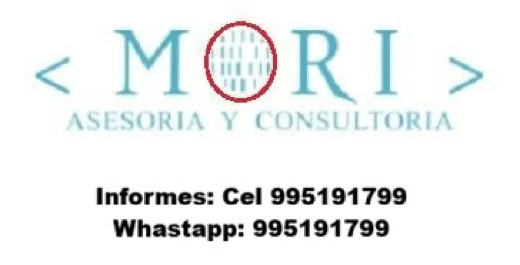 Asesoria y Consultoria en tesis de pregrado y posgrado
