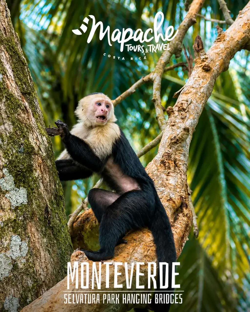 Your Costa Rica Adventure Starts Here | Custom Trips & Local Experiences