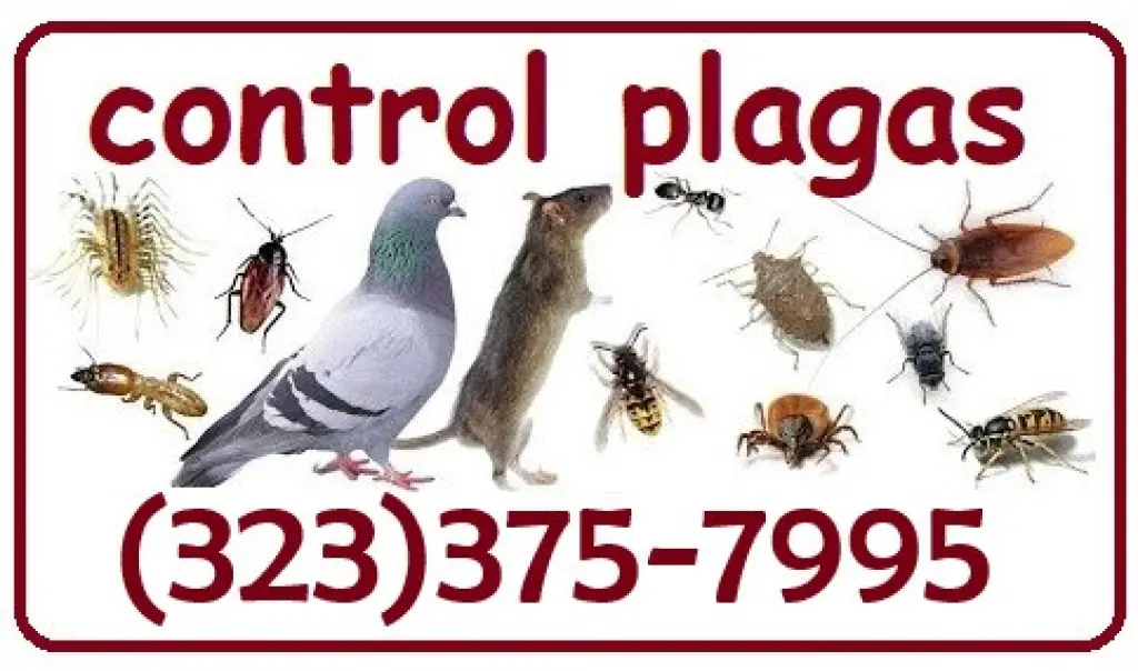 EXTERMINADORES CONDADO LOS ANGELES - AREAS CERCANAS.-