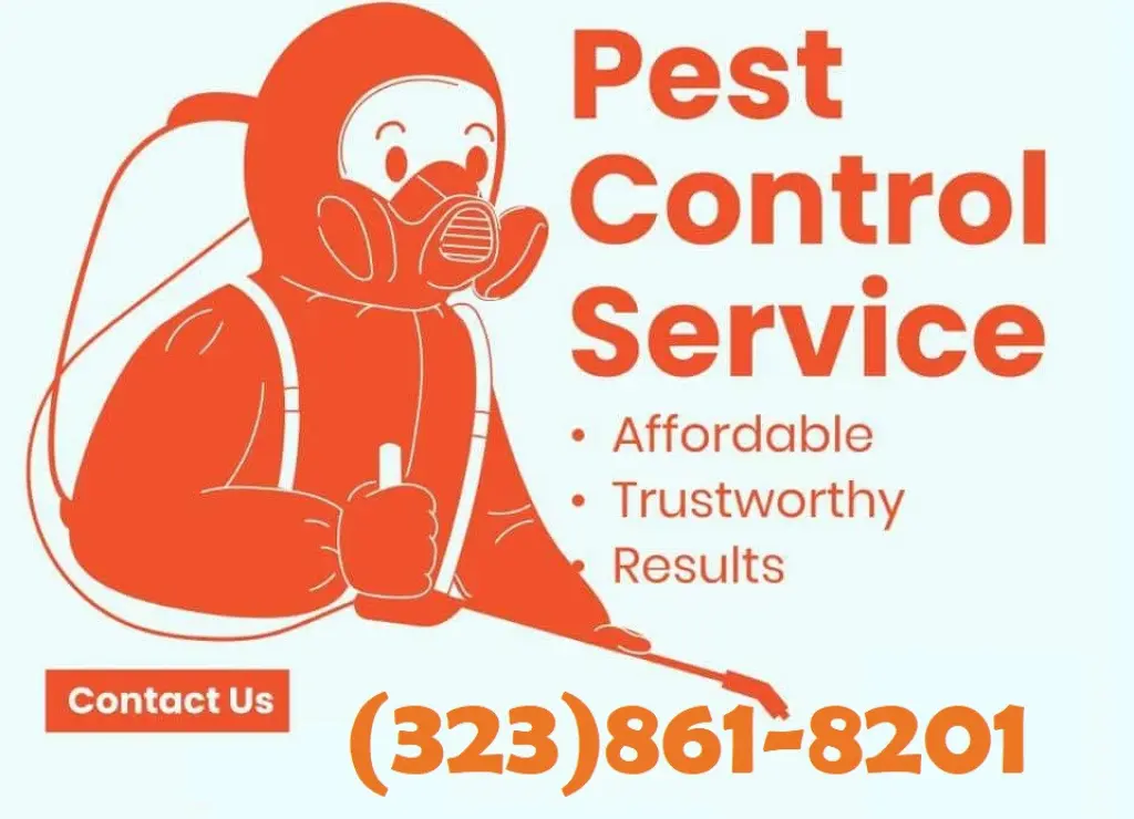 FUMIGACIONES PLAGAS - TERMITAS - Y OTROS INSECTOS LOS ANGELES.-