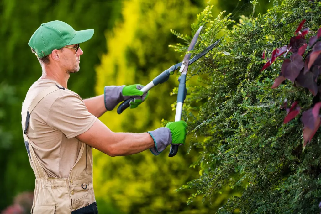 Jardinero con experiencia