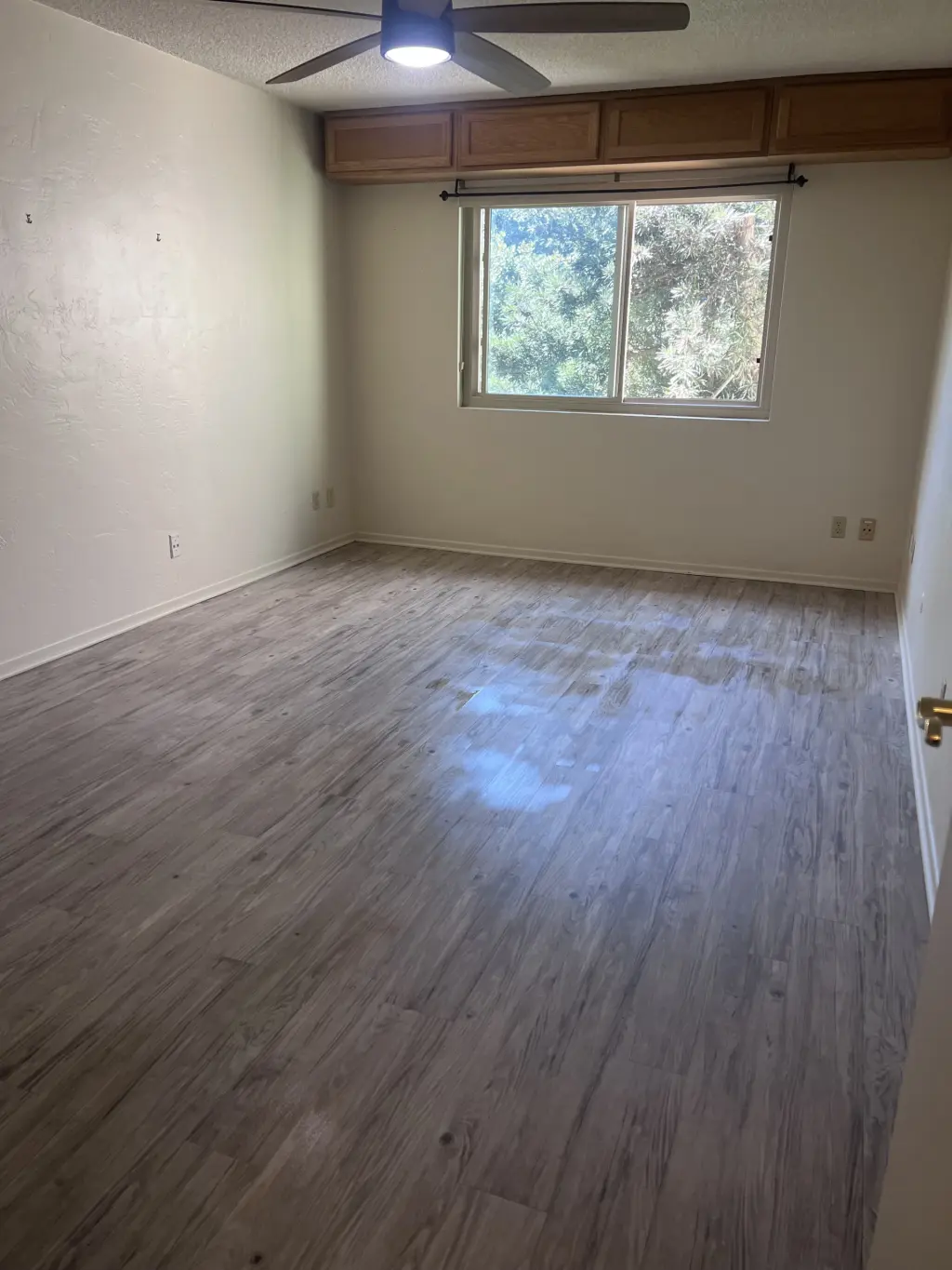 Apartamento amplio