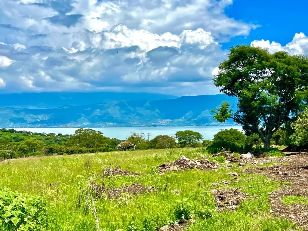 Great & Affordable, Lot A