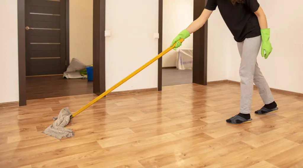 TRABAJO DE LIMPIEZA DE APARTAMENTOS