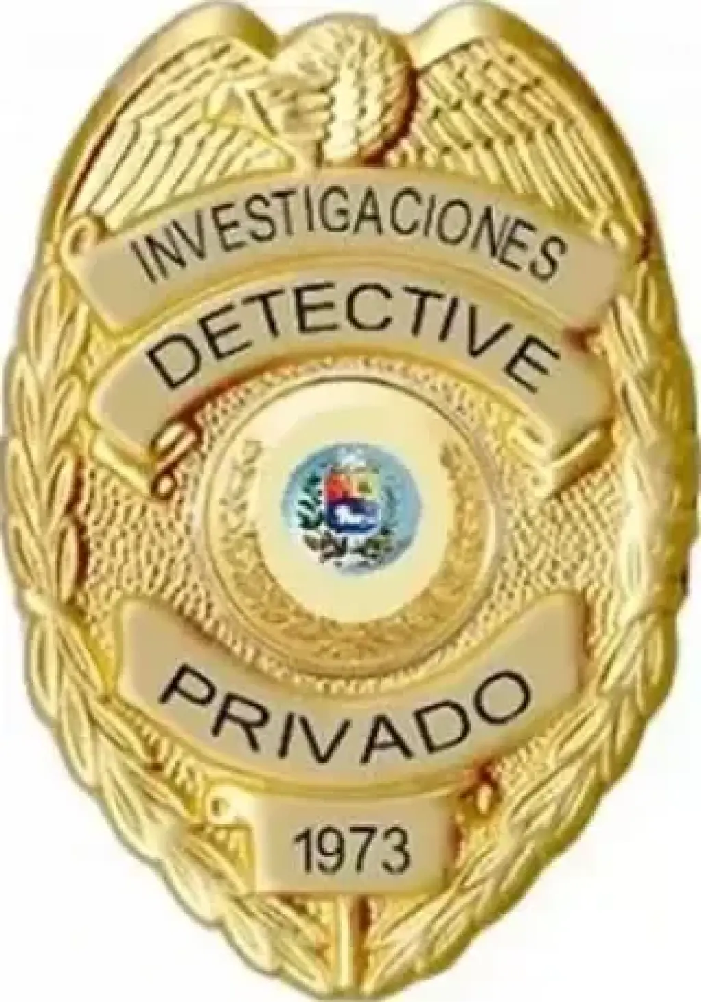 DETECTIVE PRIVADO EN VALENCIA SAN JUAN DE LOS MORROS PUNTO FIJO   CALABOZO