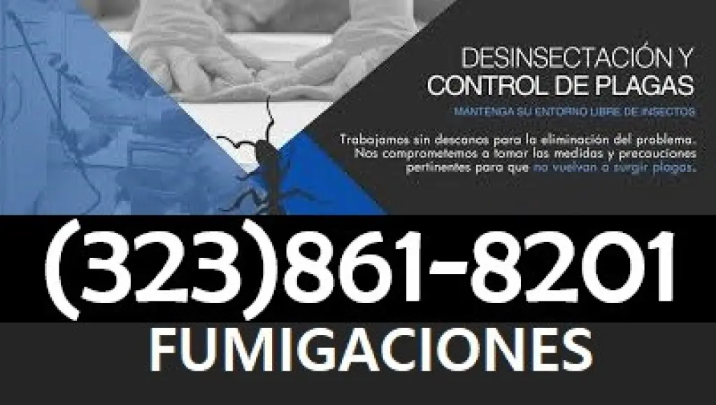 FUMIGACIONES 24/7