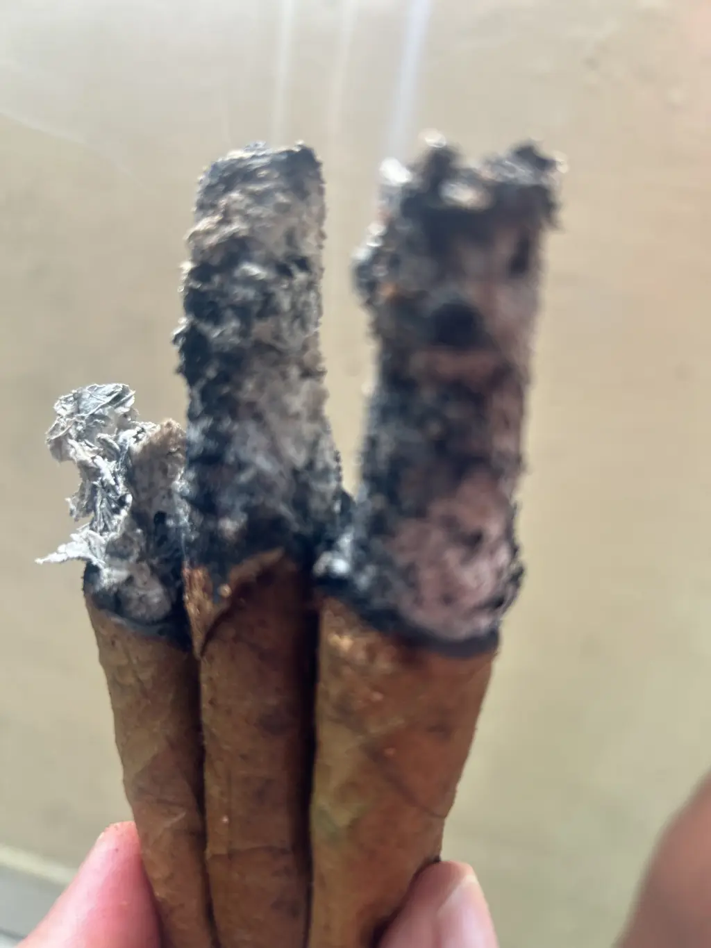 Lectura de Tabaco Ancestral