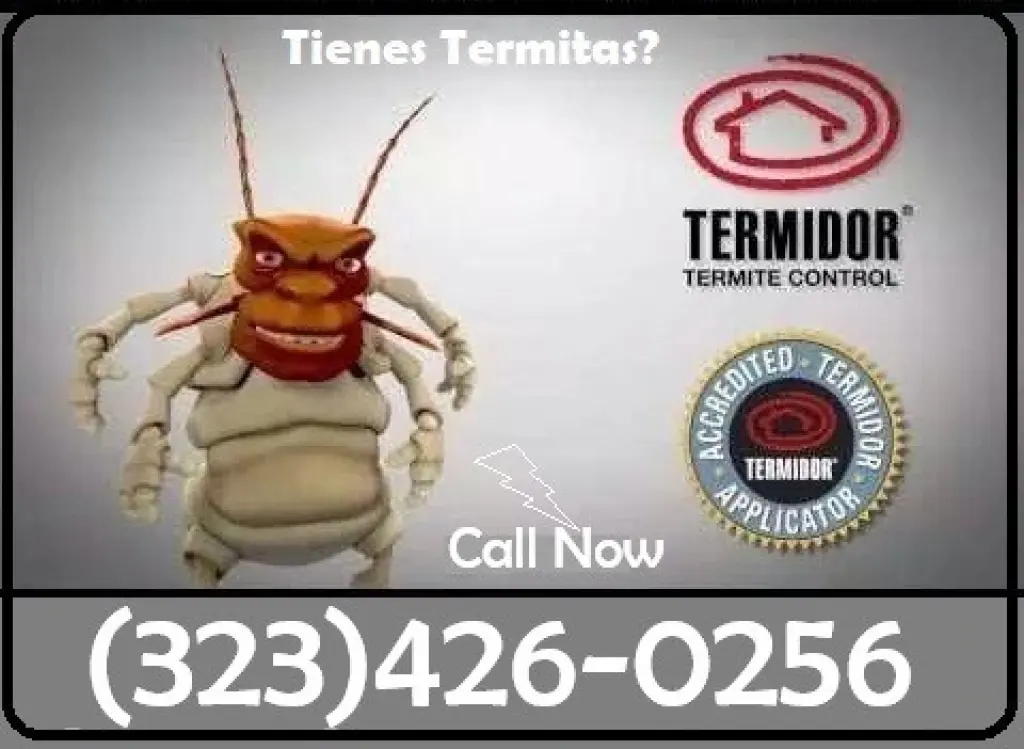 FUMIGACION TERMITAS LOS ANGELES