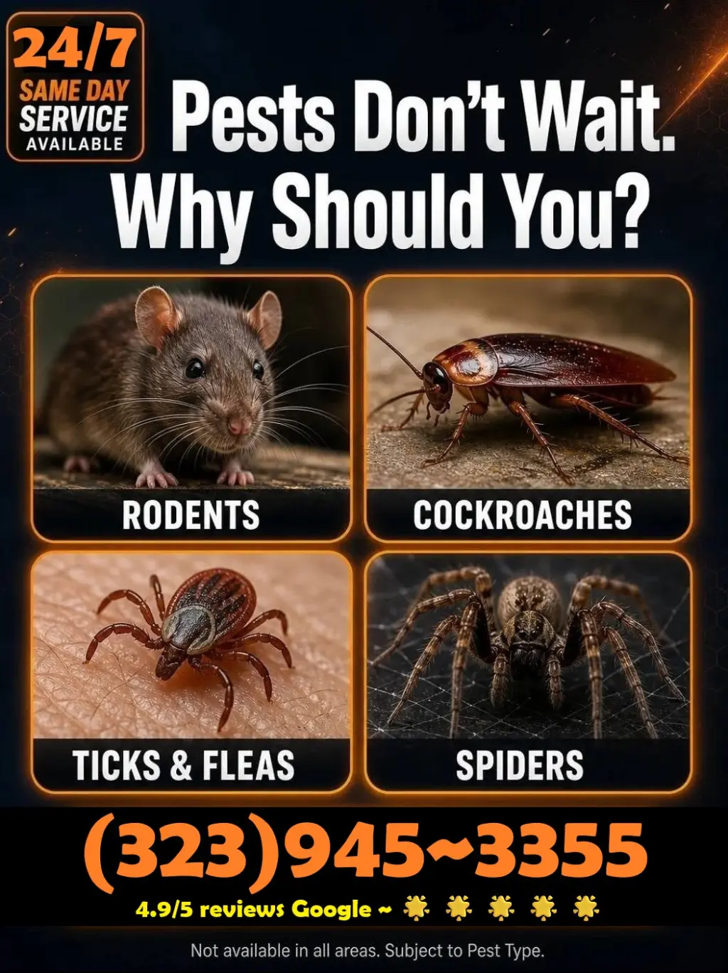 PEST CONTROL SERVICES L.A.~  LOCAL EXTERMINATORS