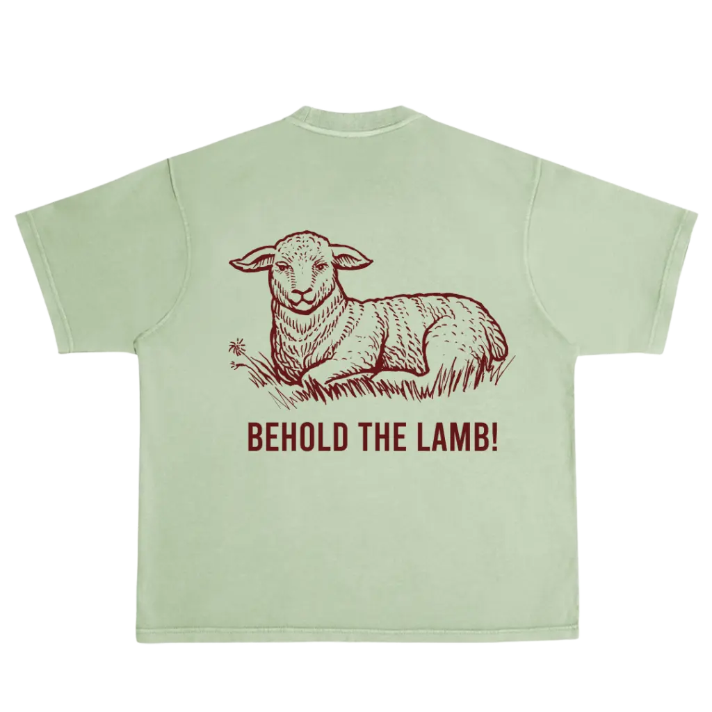 Pinto disenos en playeras