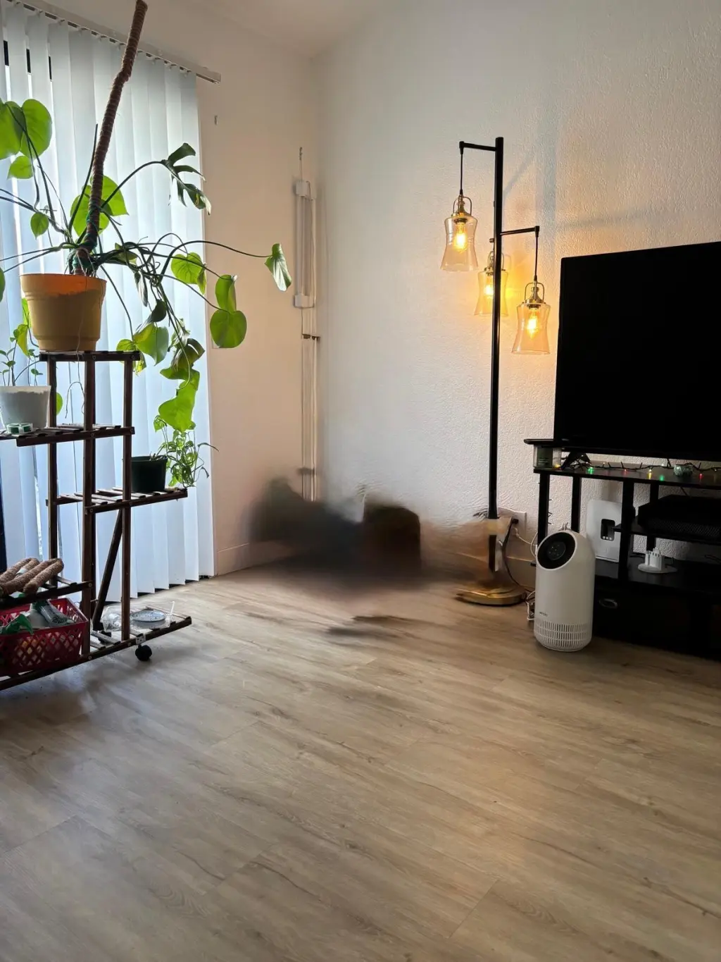 Venta articulos del hogar.
