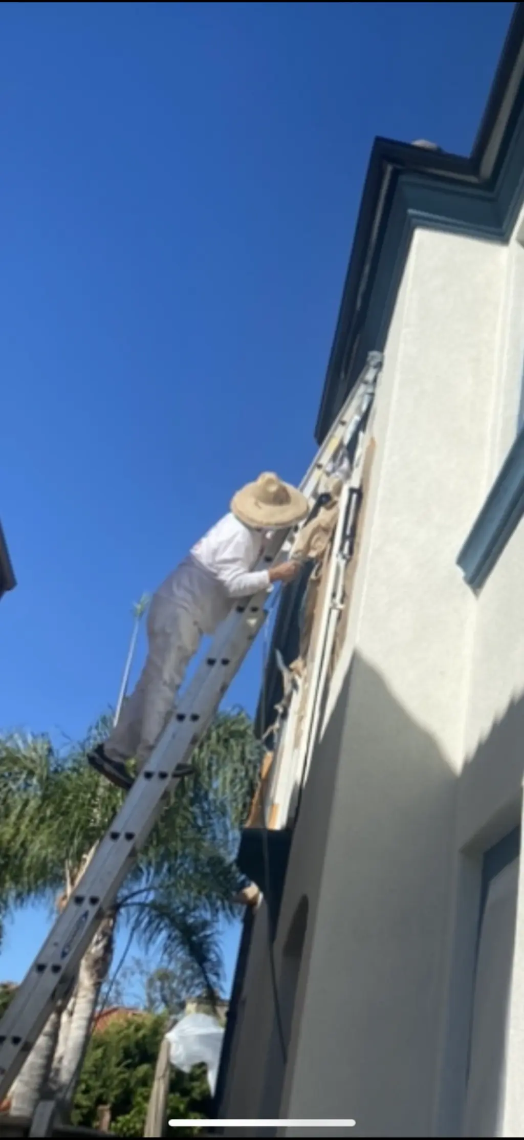 Servicios Profesionales de Pintura de Casas