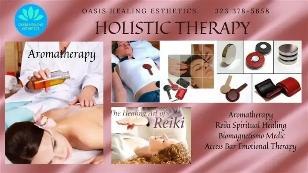TERAPIA CON IMANES