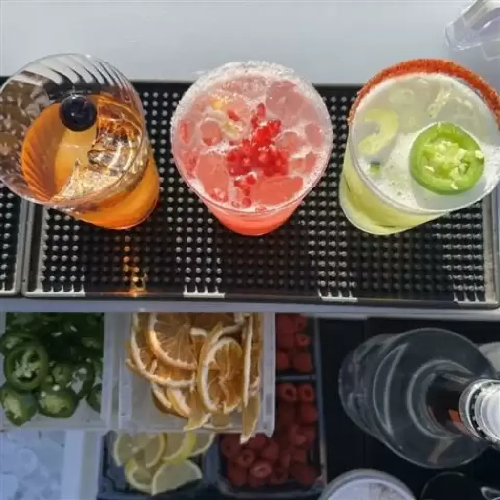 FIESTA BARTENDER