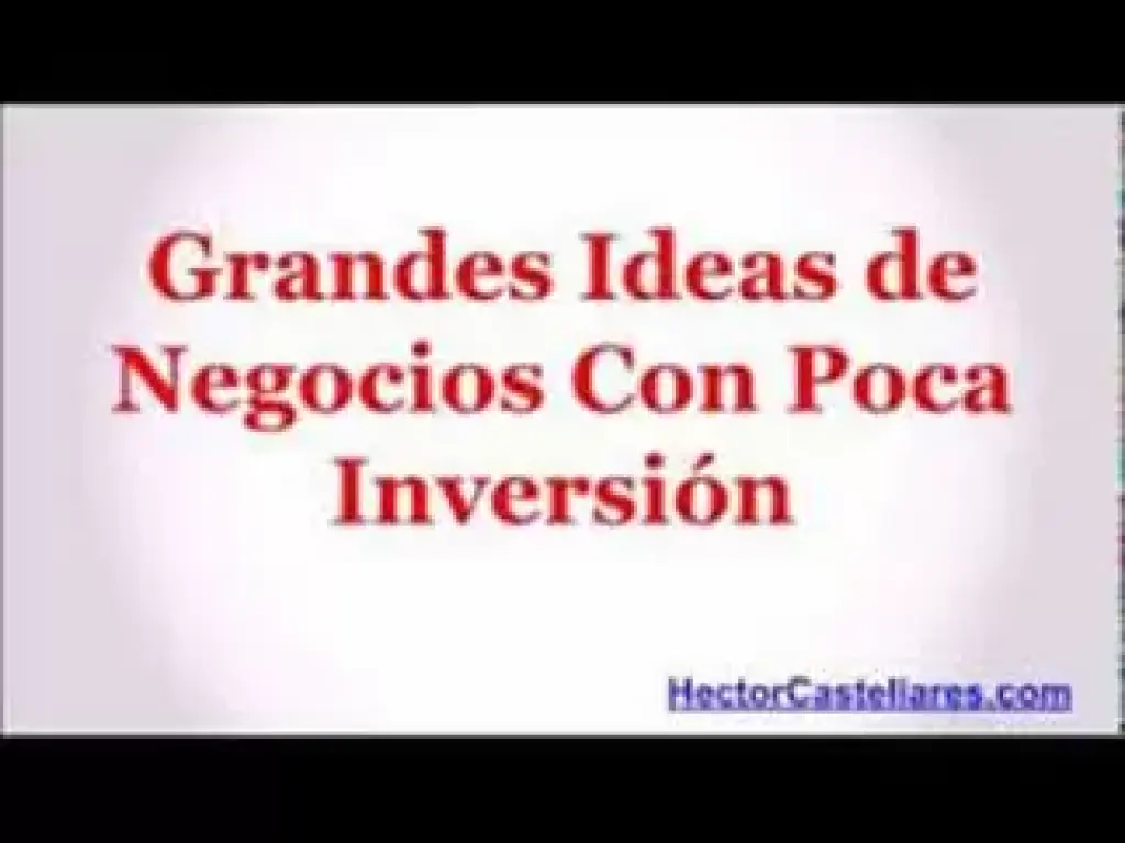 INVIERTA EN NEGOCIO DE AUTOS