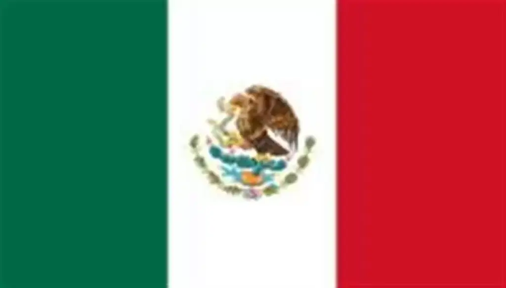VIENES LLEGANDO DE TU PAIS?