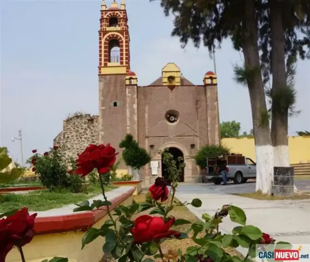 FOTOS Y VIDEO LOS MEJORES IGUA