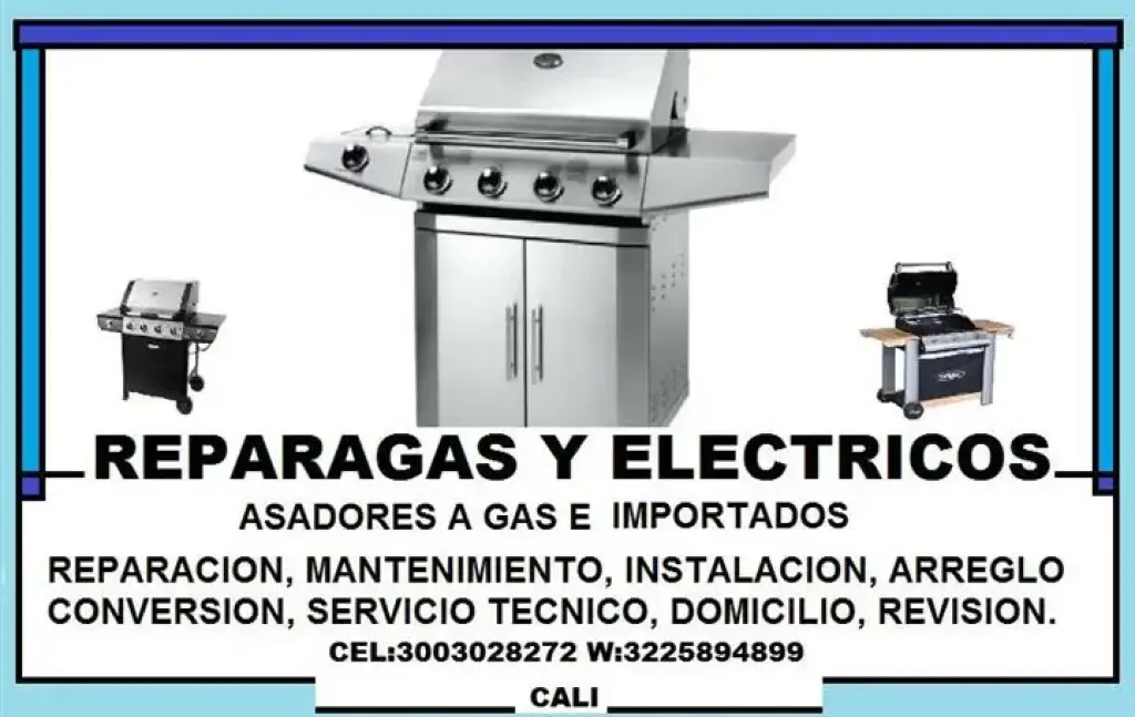 ASADORES 3003028272
