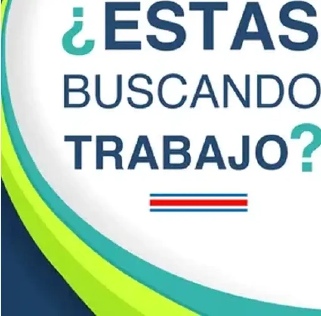 DIGITADORES DE DATOS