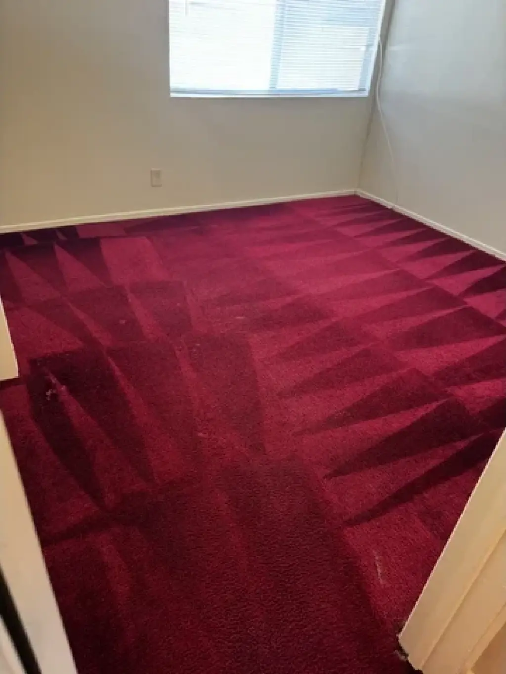 Carpet cleaning