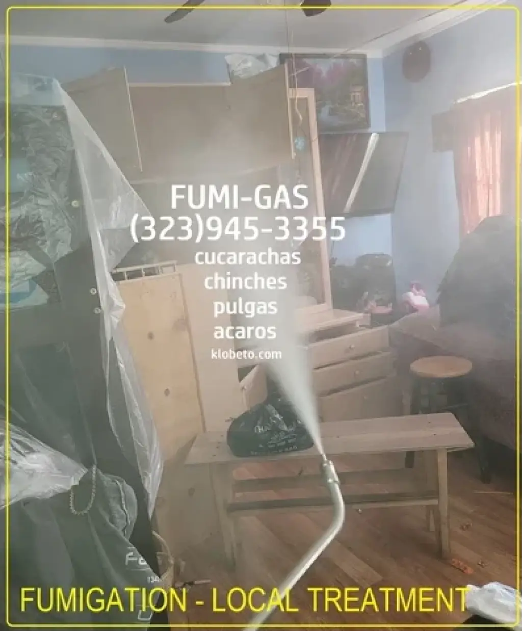 FUMIGACIONES SANTA ANA 24/7.-