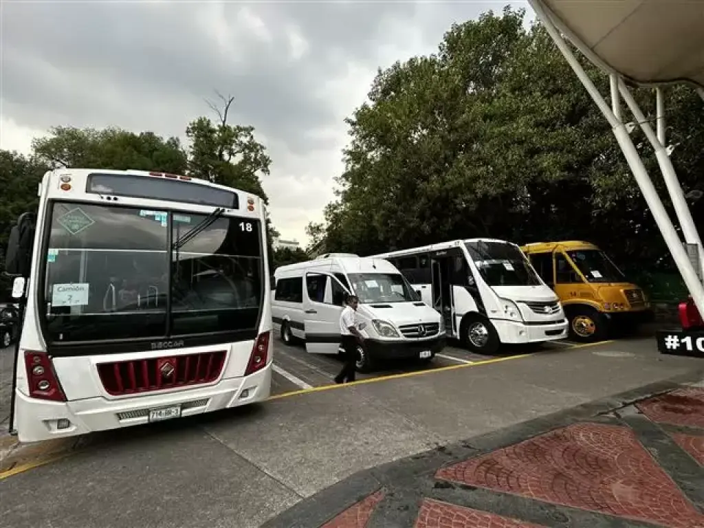 Chofer transporte escolar