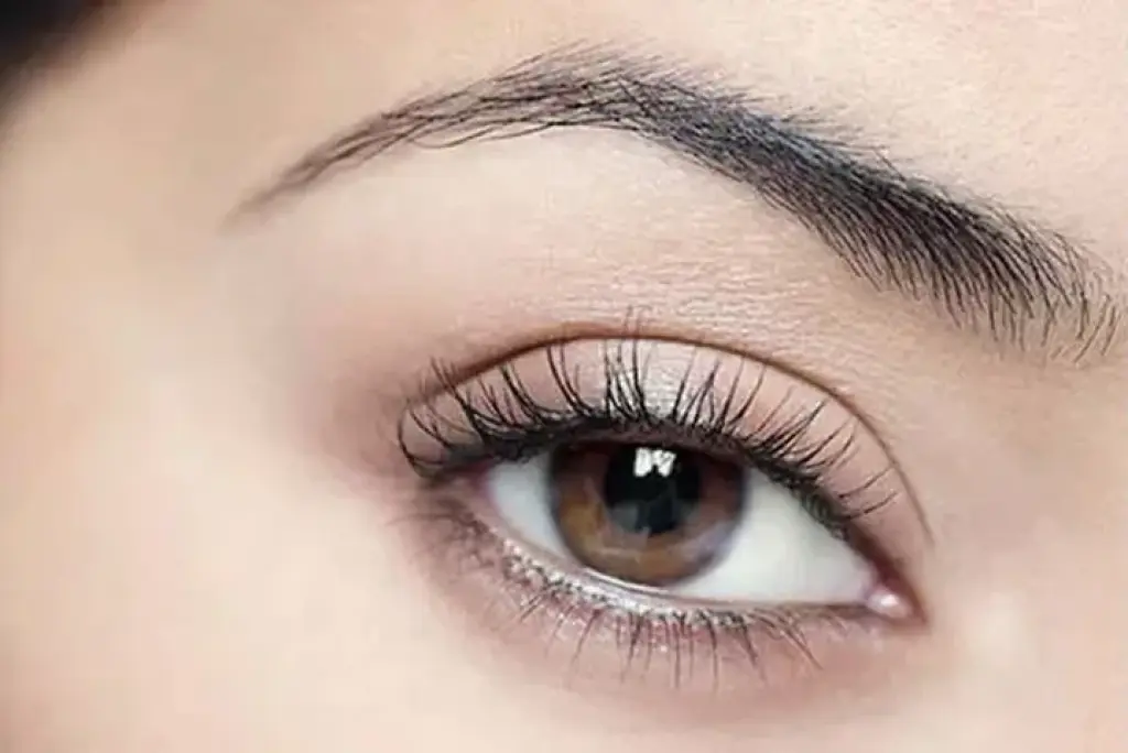 Nano Brows Vancouver : Natural