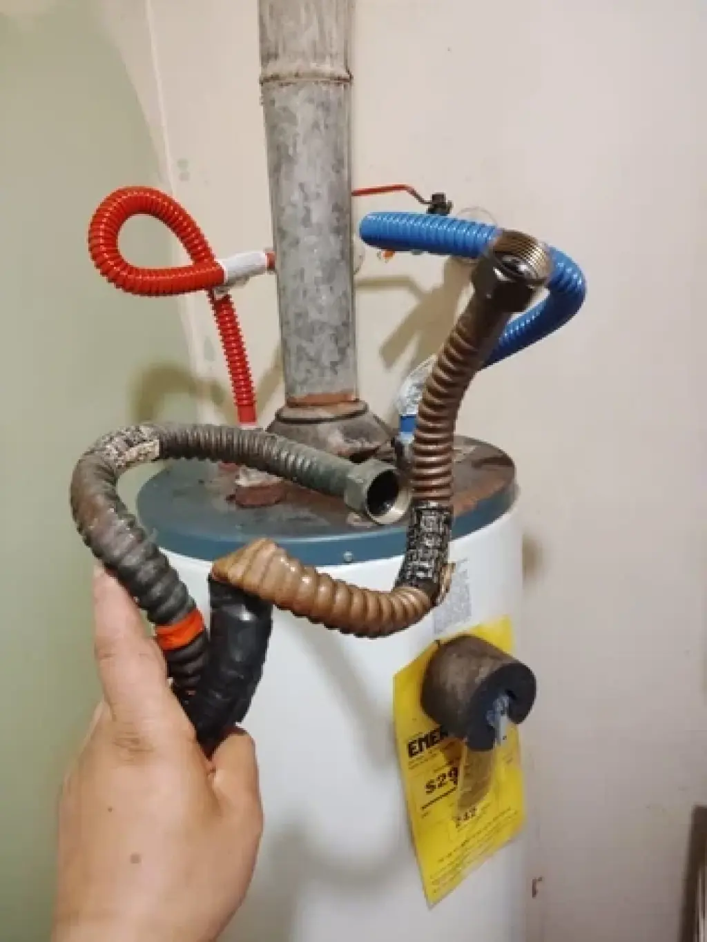 365 dias plumbing