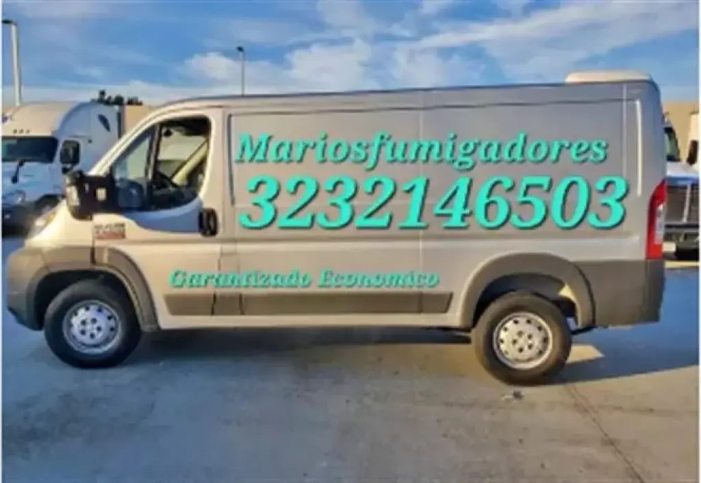 Fumigacion Economic 3232146503
